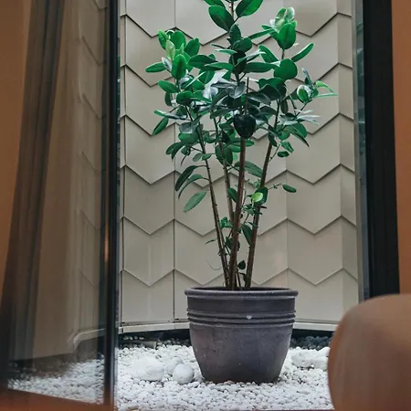 Arbaso Hotel San Sebastián