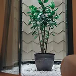 Arbaso 酒店 圣塞瓦斯蒂安