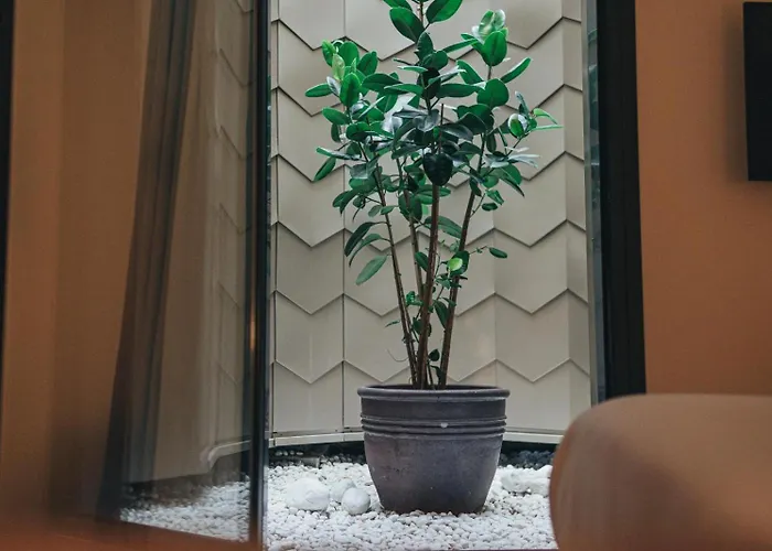 Arbaso Hotel San Sebastián